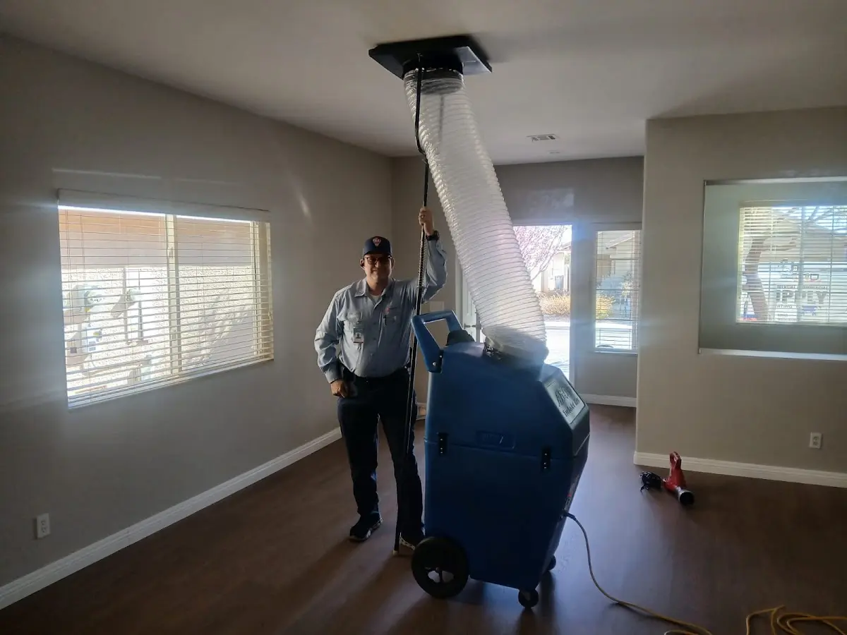Professional Dryer Vent Cleaning work inside a University Place home